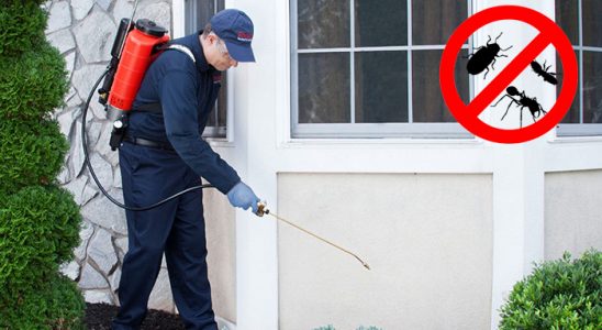 Bafra Karınca İlaçlama böcek ilaçlama ve haşere kontrolü — ilaclama-tr.com